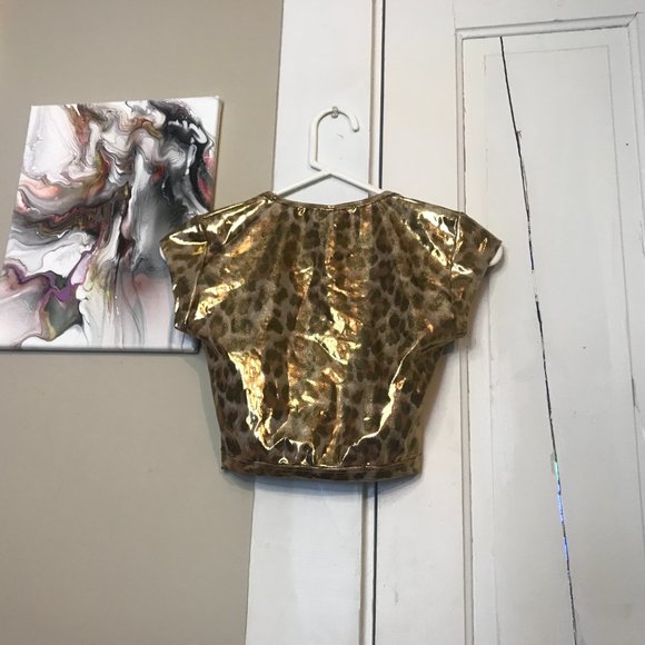 Gold Leopard Crop Top & Mini Skirt Set - Picture 2 of 4